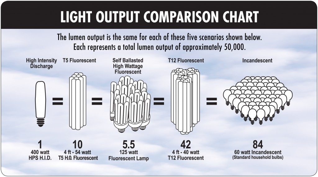 comparaison-lampes-aquaponie